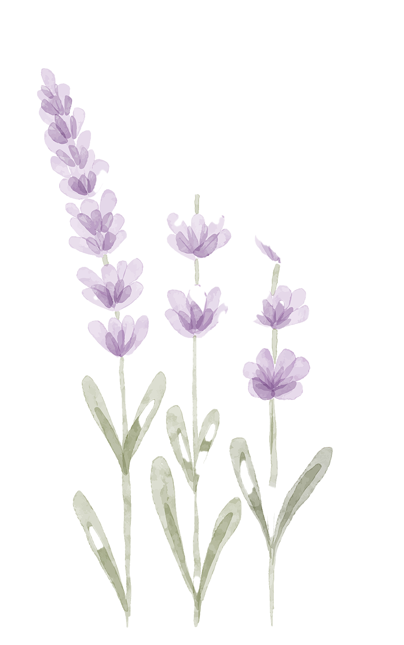 Lavanda flor, clinica Pinto Jer